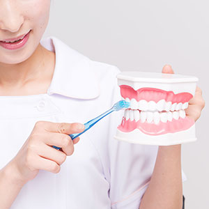 予防歯科（メインテナンス）